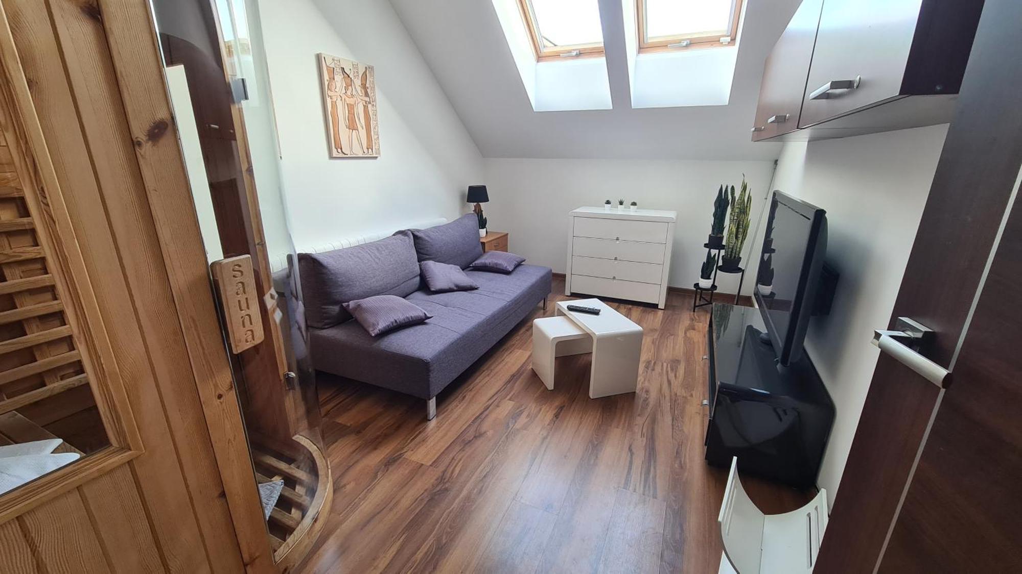 Z Sauna I Jacuzzi Apartament Kraków