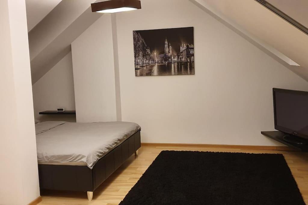 Z Sauna I Jacuzzi Apartment Krakau